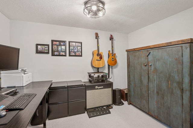 4428 Marlborough Ct, Minnetonka, MN 55345 - home office featuring a textured ceiling and carpet
