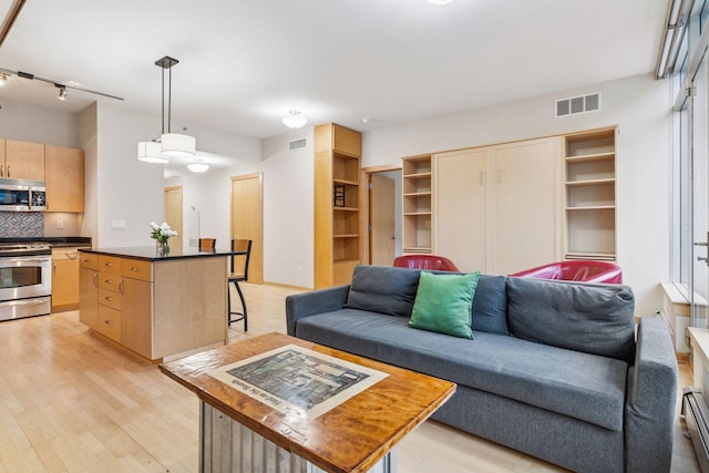215 10th Ave S Unit 533, Minneapolis, MN 55415 - living room featuring light wood finished floors, a baseboard radiator, and track lighting