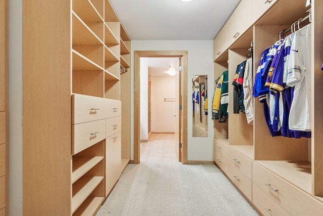 215 10th Ave S Unit 533, Minneapolis, MN 55415 - walk in closet with light carpet
