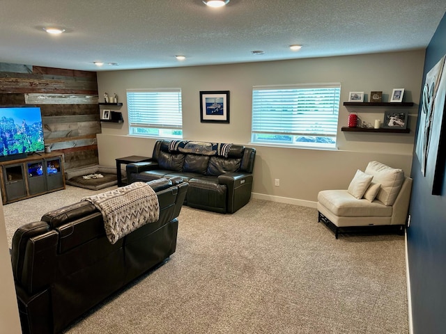 7559 Oday Ln NE, Otsego, MN 55330 - living room with carpet and a textured ceiling