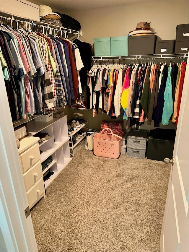 7559 Oday Ln NE, Otsego, MN 55330 - view of spacious closet