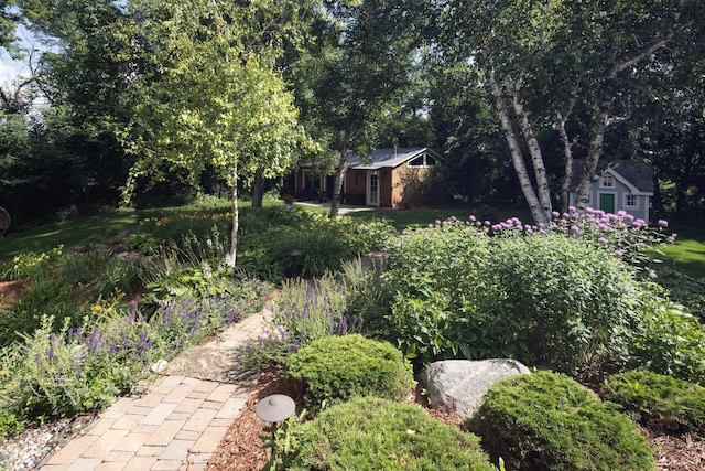6445 County Road 26, Minnetrista, MN 55364 - view of yard featuring an outbuilding