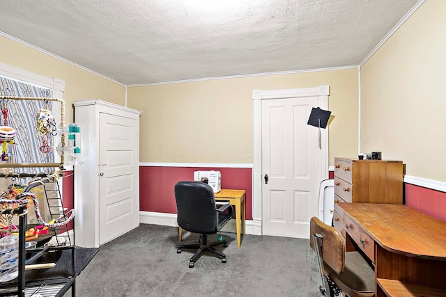 531 2nd St N, Brownton, MN 55312 - carpeted office space featuring crown molding and a textured ceiling