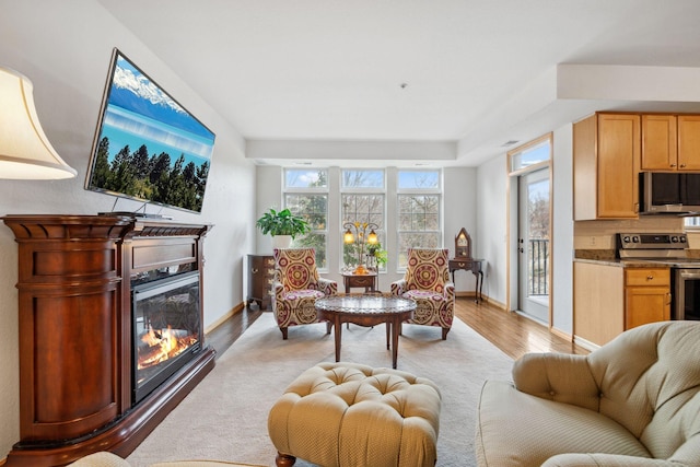 1700 Metro Blvd Unit 210, Edina, MN 55439 - living area featuring light wood-style floors and a glass covered fireplace