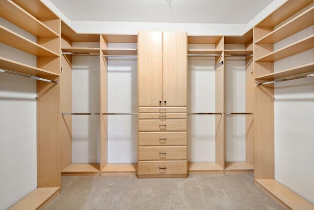 1700 Metro Blvd Unit 210, Edina, MN 55439 - spacious closet featuring light colored carpet