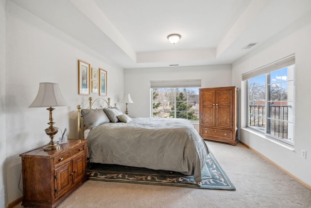 1700 Metro Blvd Unit 210, Edina, MN 55439 - bedroom featuring a tray ceiling, multiple windows, and light colored carpet