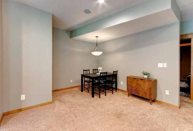 2175 233rd St E, Cedar Lake Twp, MN 55372 - photo 39