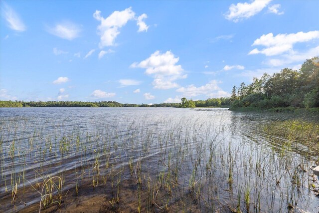 3901 Pleasant Ln, Eveleth, MN 55734 - photo 3