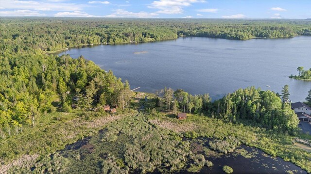 3901 Pleasant Ln, Eveleth, MN 55734 - photo 40