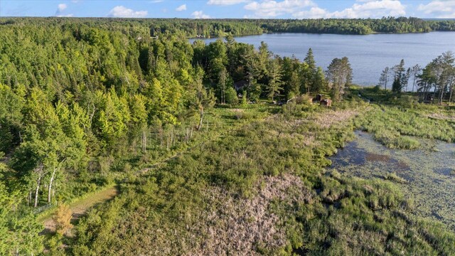 3901 Pleasant Ln, Eveleth, MN 55734 - photo 42