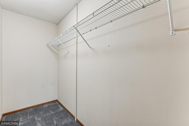 7216 Vinewood Ln N, Maple Grove, MN 55311 - walk in closet featuring dark carpet
