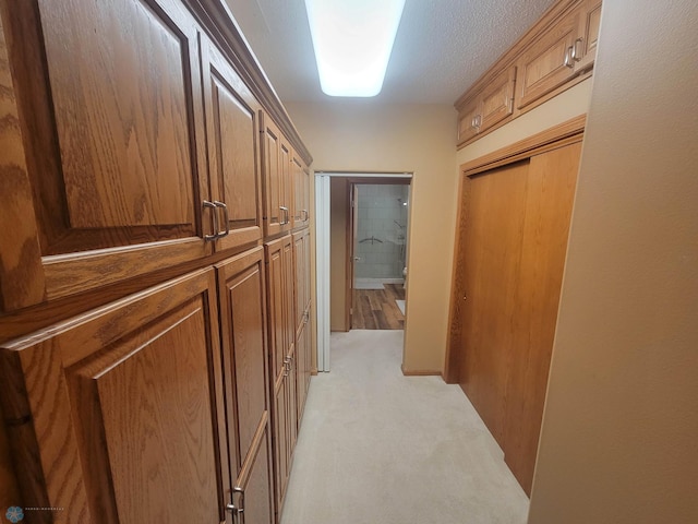 2501 30th Ave S Unit 109, Fargo, ND 58103 - corridor featuring light colored carpet