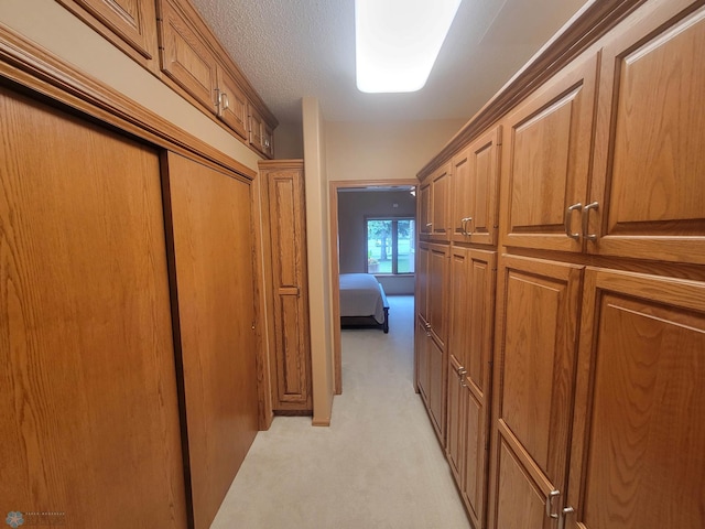 2501 30th Ave S Unit 109, Fargo, ND 58103 - hallway with light carpet and a textured ceiling