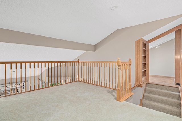 42 Pullman Ave, Saint Paul Park, MN 55071 - hallway with lofted ceiling and carpet floors