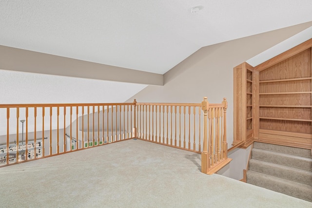 42 Pullman Ave, Saint Paul Park, MN 55071 - hall with vaulted ceiling and carpet