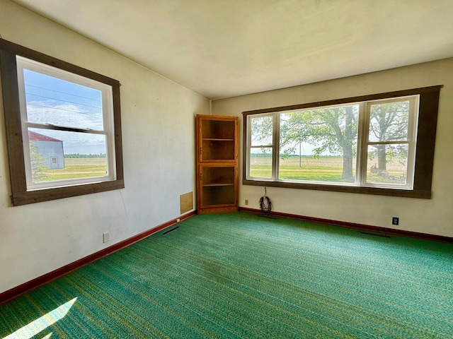 12900 350th Ave SE, Deer Park Twp, MN 56684 - empty room featuring carpet flooring
