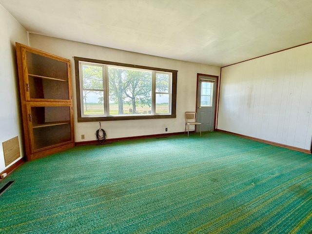 12900 350th Ave SE, Deer Park Twp, MN 56684 - carpeted spare room featuring baseboards