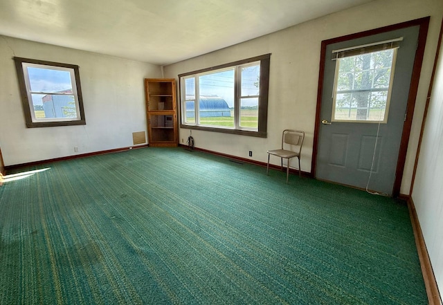 12900 350th Ave SE, Deer Park Twp, MN 56684 - carpeted entrance foyer with plenty of natural light