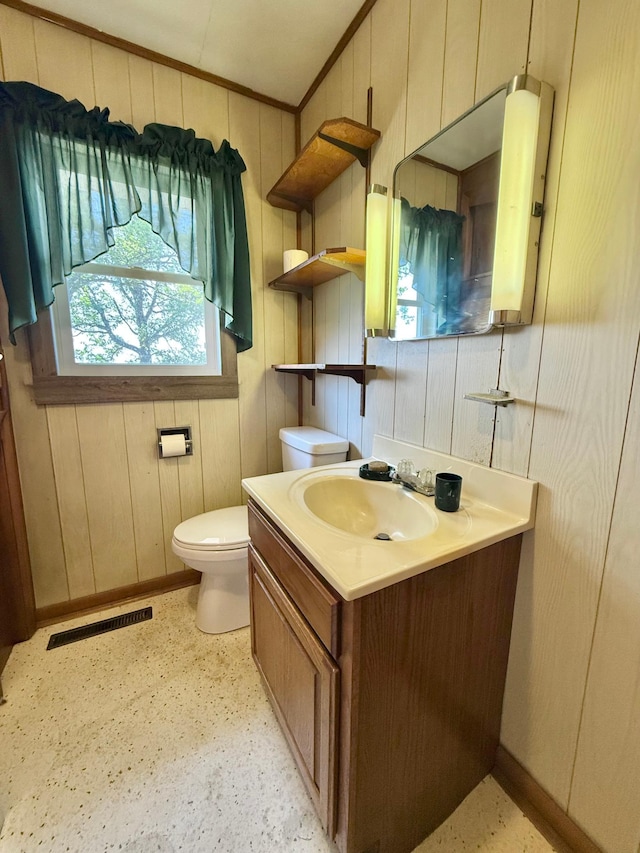 12900 350th Ave SE, Deer Park Twp, MN 56684 - bathroom with vanity and wooden walls