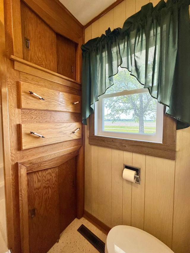 12900 350th Ave SE, Deer Park Twp, MN 56684 - half bath with wood walls
