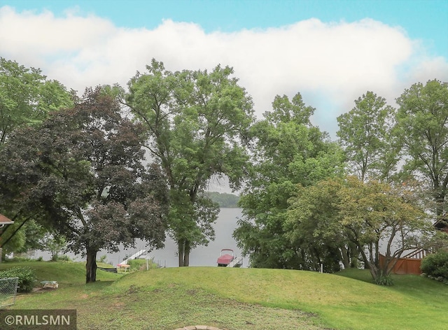 50875 Almond Ave, Nessel Twp, MN 55080 - view of green lawn