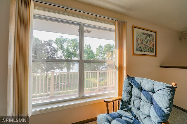 50875 Almond Ave, Nessel Twp, MN 55080 - living area with healthy amount of natural light and carpet flooring