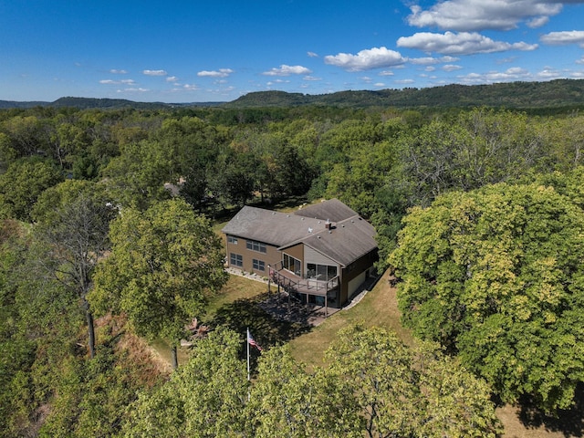 7 3rd St, Pepin, WI 54759 - view of subject property featuring a forest