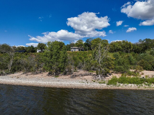 7 3rd St, Pepin, WI 54759 - water view