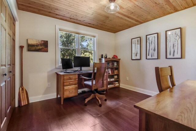 7 3rd St, Pepin, WI 54759 - office area with dark wood-style floors and wood ceiling