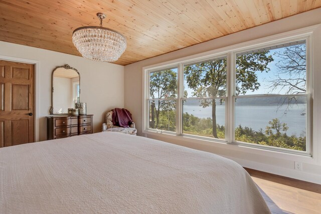 7 3rd St, Pepin, WI 54759 - bedroom with a chandelier, wood finished floors, a water view, and wooden ceiling