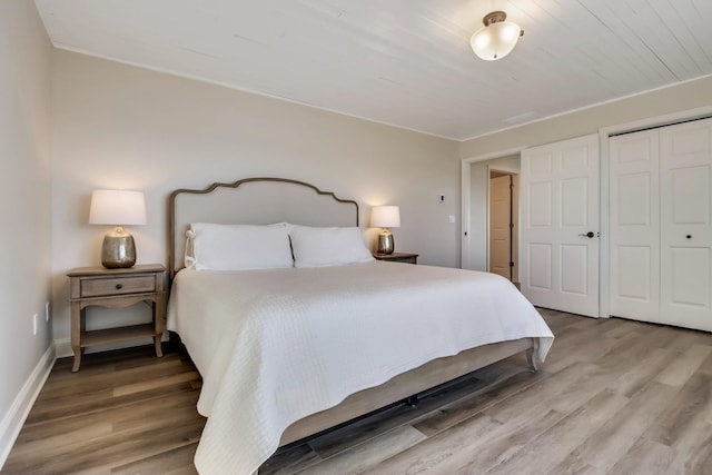 7 3rd St, Pepin, WI 54759 - bedroom with wood finished floors and a closet