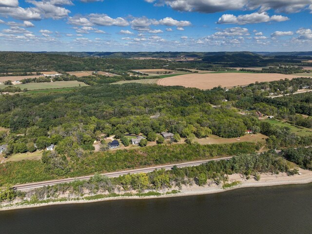 7 3rd St, Pepin, WI 54759 - aerial view of a large body of water and a heavily wooded area