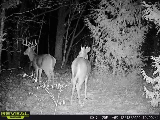 TBD 710th Ave, River Falls, WI 54022