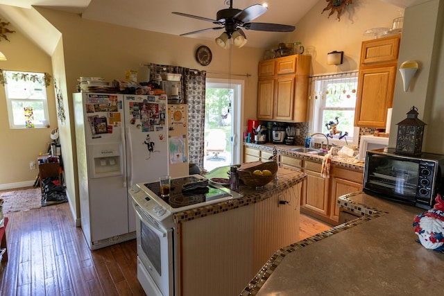 37245 US Highway 59 SE, Knute Twp, MN 56556 - kitchen featuring lofted ceiling, healthy amount of natural light, a ceiling fan, hardwood / wood-style floors, and tasteful backsplash