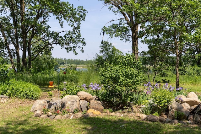 37245 US Highway 59 SE, Knute Twp, MN 56556 - view of yard