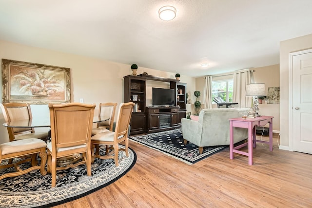 25520 10th St W, Zimmerman, MN 55398 - living room with wood finished floors