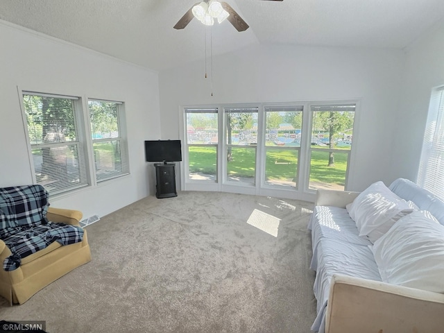 13496 Campfire Cir, South Haven, MN 55382 - carpeted living area with healthy amount of natural light, vaulted ceiling, and ceiling fan