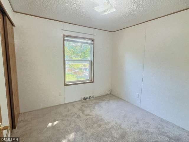 13496 Campfire Cir, South Haven, MN 55382 - spare room with carpet floors and a textured ceiling