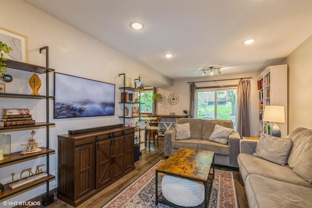 1007 124th Cir NW, Coon Rapids, MN 55448 - living room featuring wood finished floors and recessed lighting