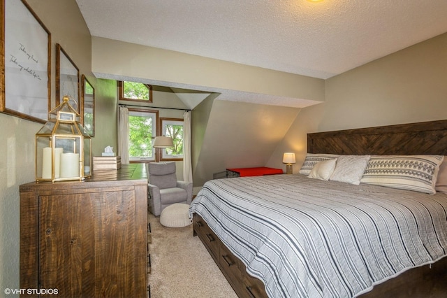 1007 124th Cir NW, Coon Rapids, MN 55448 - bedroom featuring carpet flooring and a textured ceiling