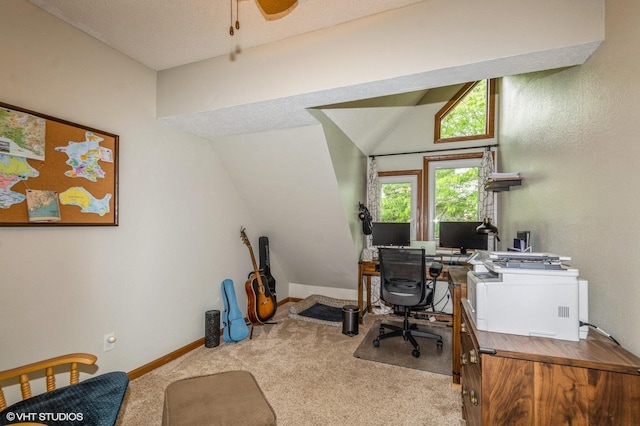 1007 124th Cir NW, Coon Rapids, MN 55448 - carpeted home office featuring vaulted ceiling and baseboards