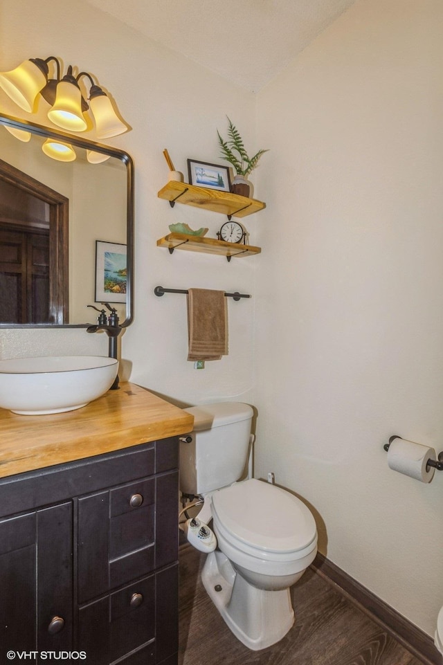1007 124th Cir NW, Coon Rapids, MN 55448 - bathroom featuring vanity and wood finished floors
