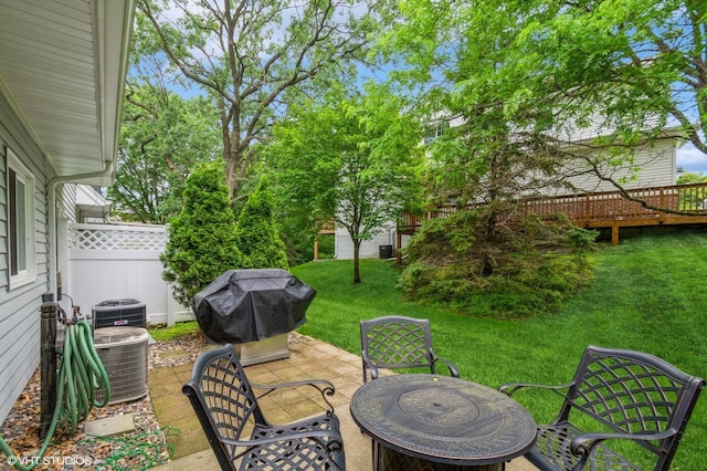 1007 124th Cir NW, Coon Rapids, MN 55448 - view of patio with grilling area