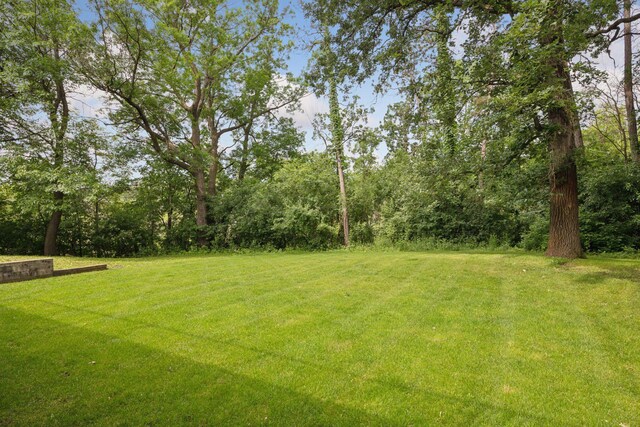 145 Smith Ave, Orono, MN 55391 - photo 63