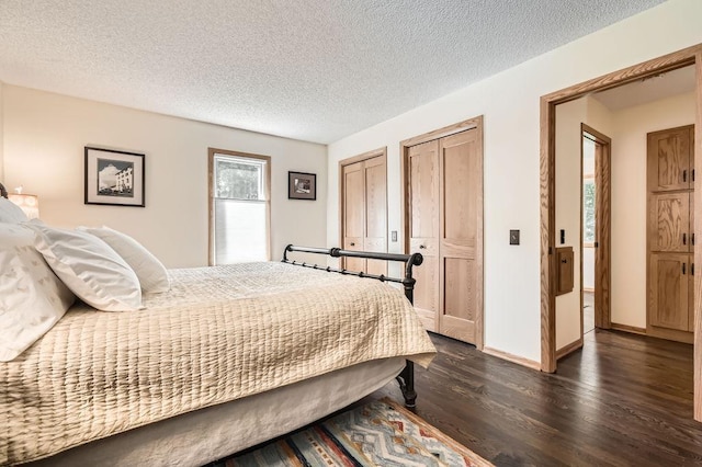1755 Ranier Ln N, Plymouth, MN 55447 - bedroom featuring dark wood-type flooring, two closets, and a textured ceiling
