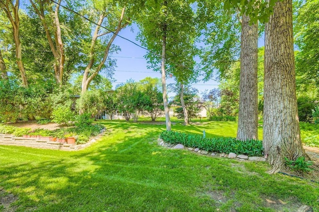 1755 Ranier Ln N, Plymouth, MN 55447 - view of green lawn