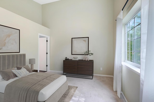 2145 Shenandoah Ct Unit D, Plymouth, MN 55447 - bedroom featuring a high ceiling and light carpet