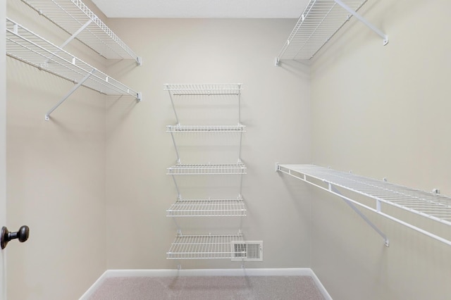 2145 Shenandoah Ct Unit D, Plymouth, MN 55447 - spacious closet with carpet