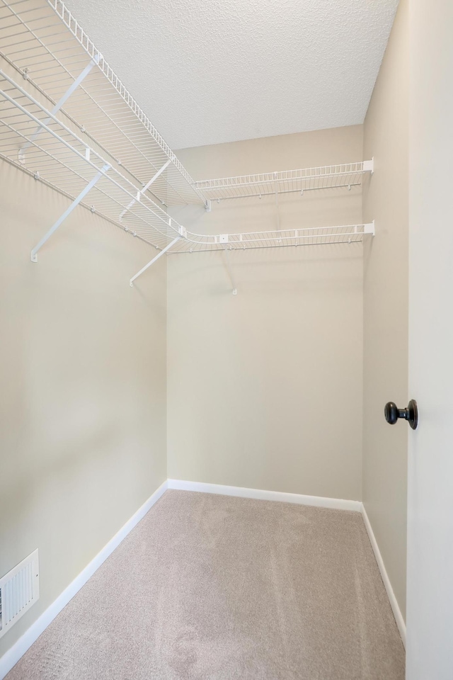 2145 Shenandoah Ct Unit D, Plymouth, MN 55447 - walk in closet featuring carpet floors