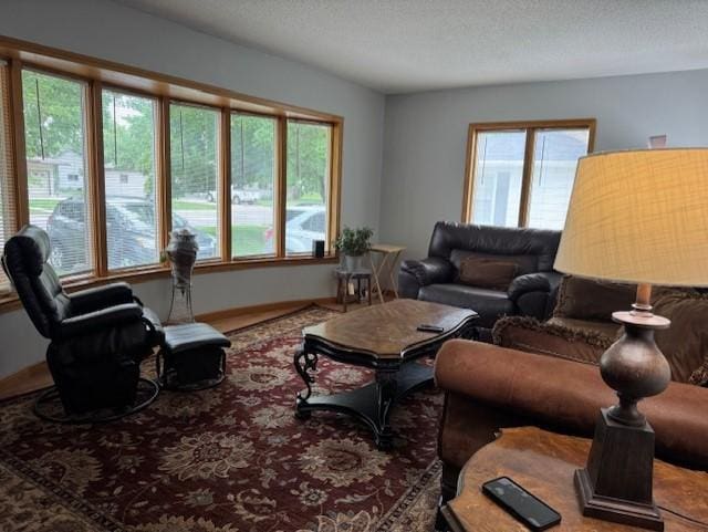 137 20th Ave S, Saint Cloud, MN 56301 - living area featuring baseboards